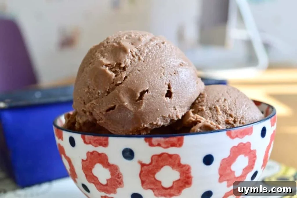 10 Gluten Free and Dairy Free Ice Cream Recipes 7 mocha icecream