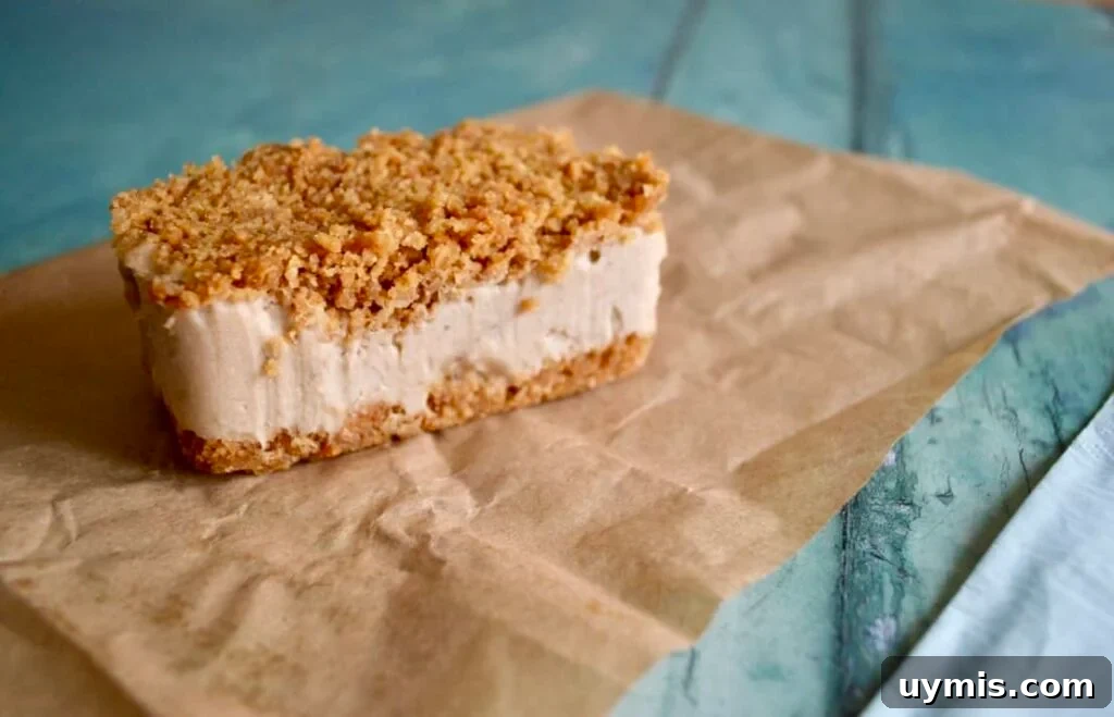 10 Gluten Free and Dairy Free Ice Cream Recipes 10 ice cream biscuit bar