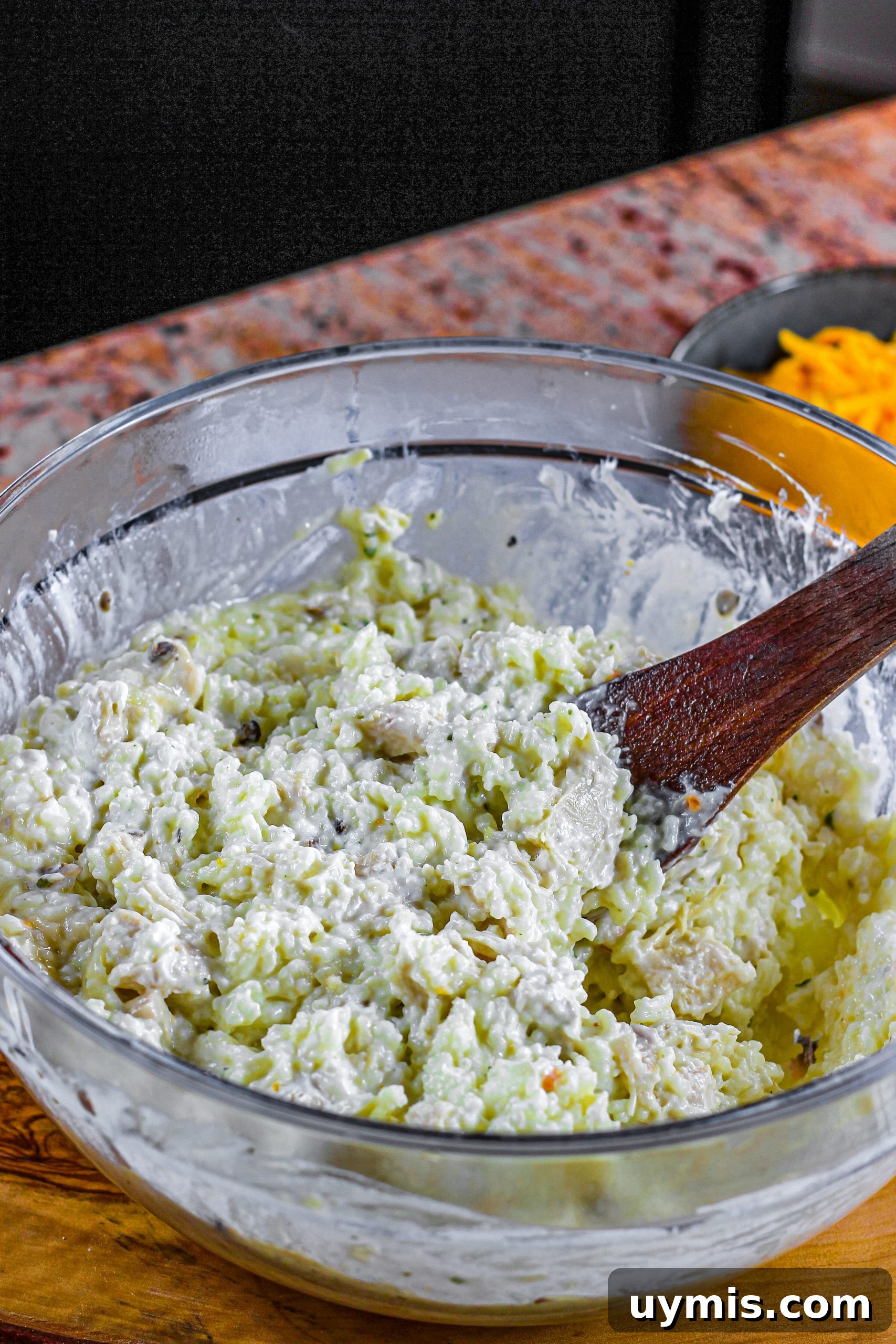 Creamy Chicken and Rice Casserole Recipe 11 Chicken and rice mixture in baking dish