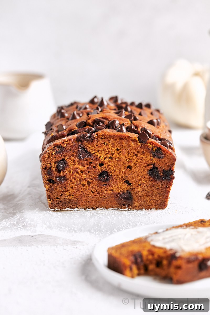 Moist Pumpkin Chocolate Chip Bread Recipe 3 Pumpkin Chocolate Chip Bread