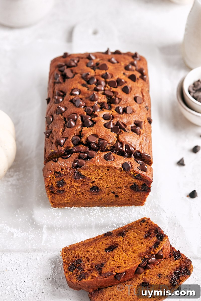 Moist Pumpkin Chocolate Chip Bread Recipe 4 Pumpkin Chocolate Chip Bread