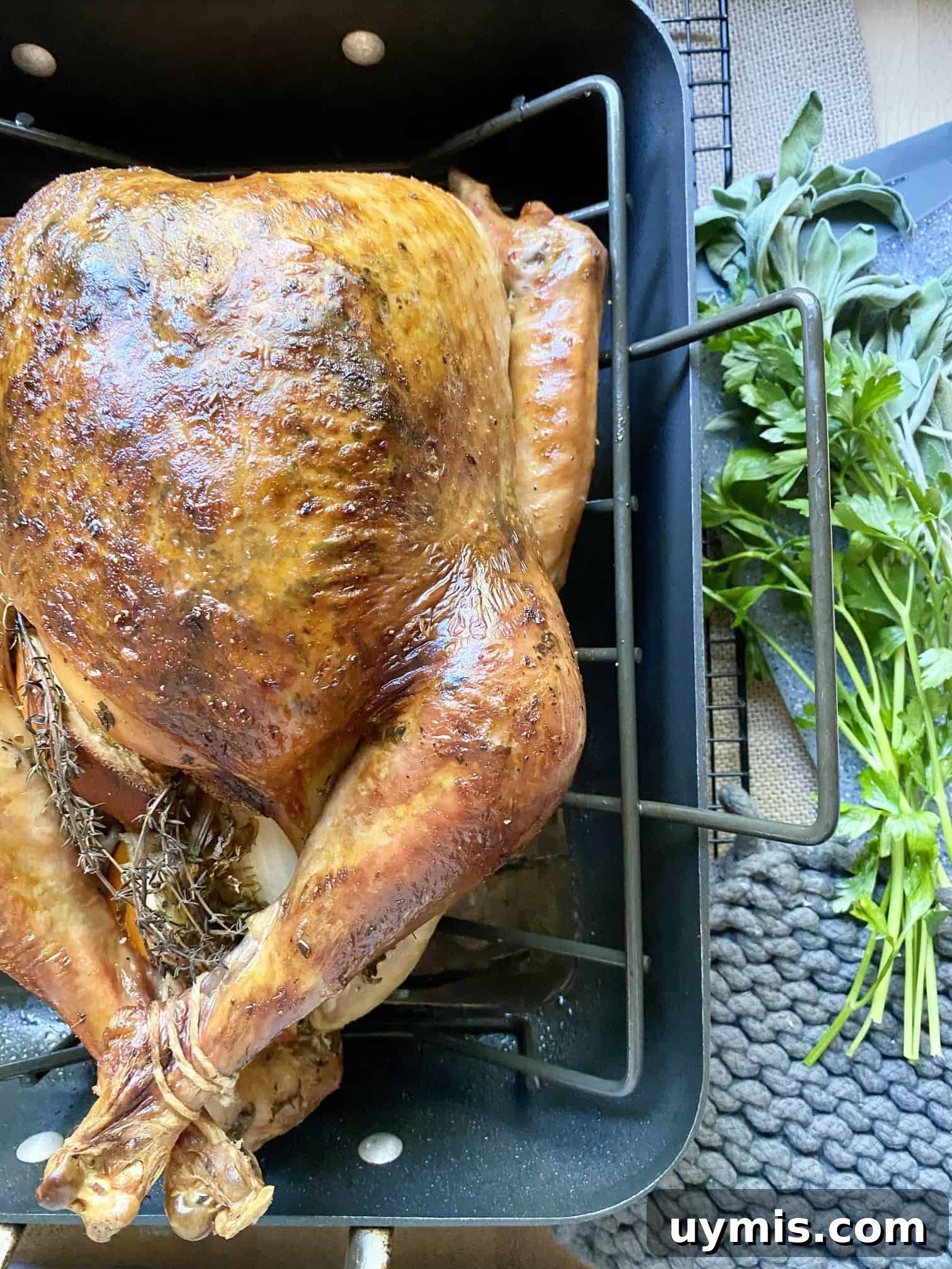 Citrus Sage Roast Turkey Recipe 13 Roast Turkey with Citrus & Sage