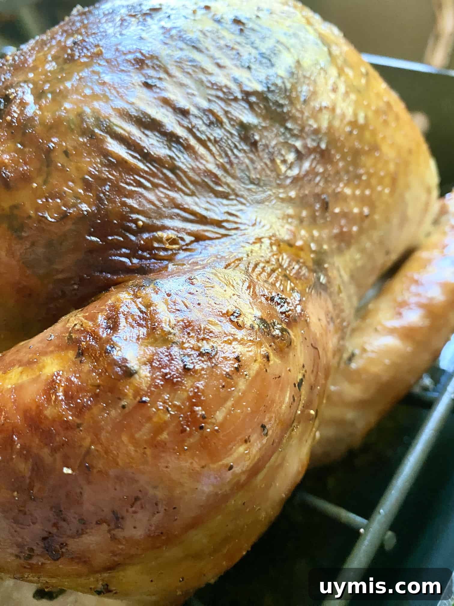 Citrus Sage Roast Turkey Recipe 14 Roast Turkey with Citrus & Sage