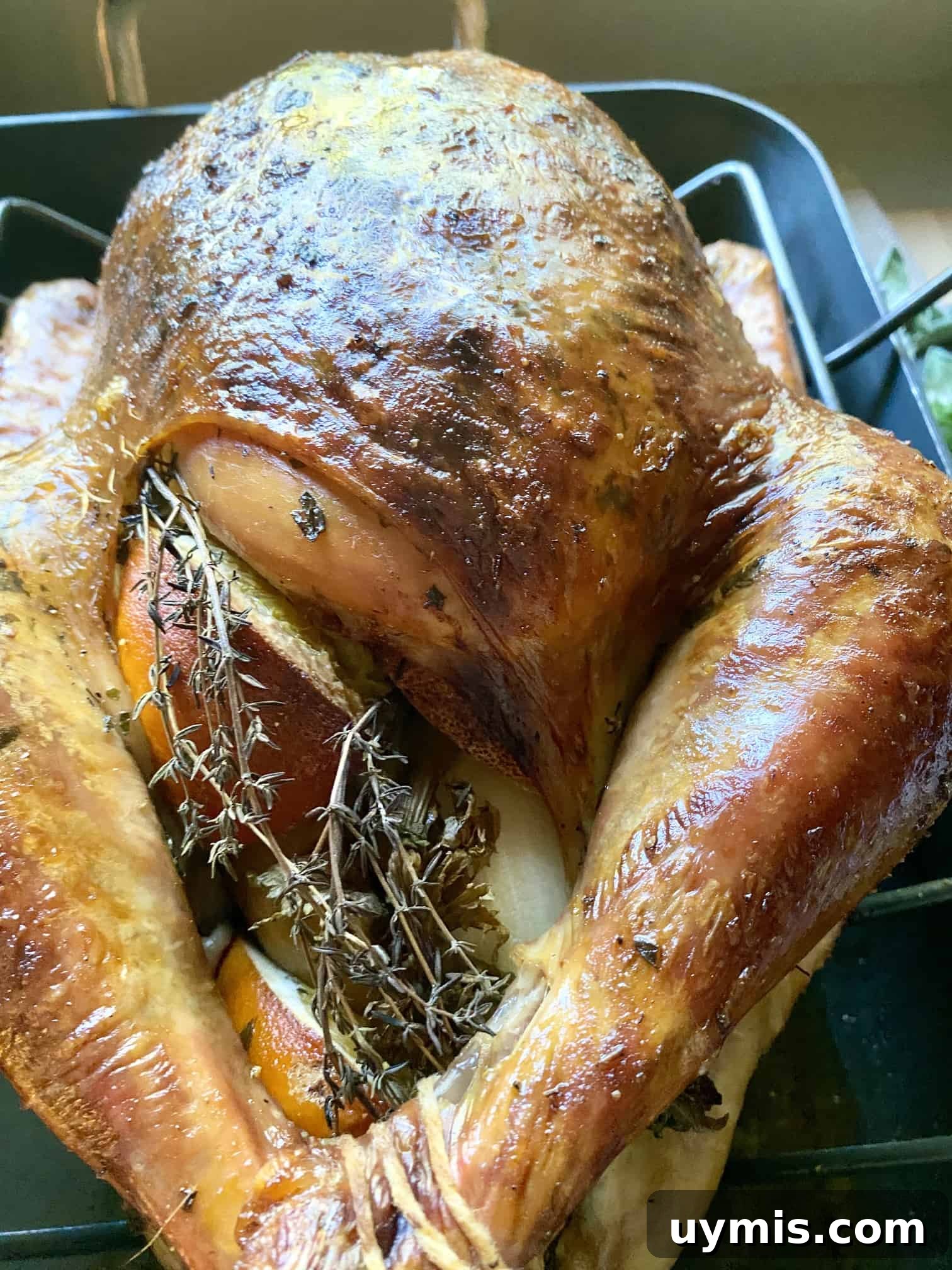 Citrus Sage Roast Turkey Recipe 15 Roast Turkey with Citrus & Sage