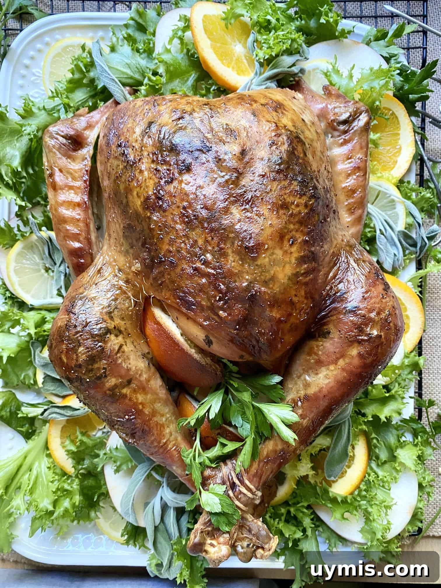 Citrus Sage Roast Turkey Recipe 17 Roast Turkey with Citrus & Sage