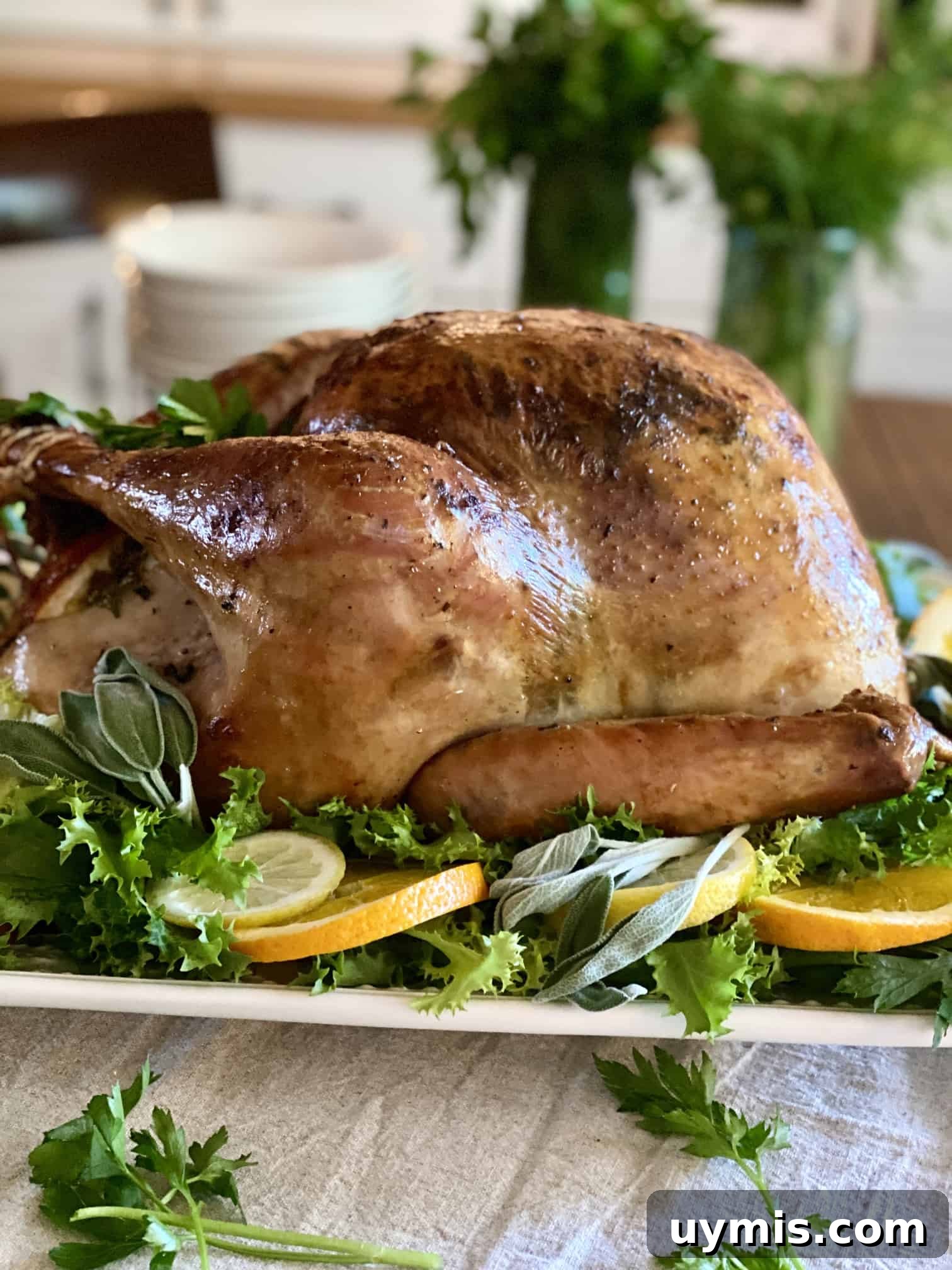 Citrus Sage Roast Turkey Recipe 18 Roast Turkey with Citrus & Sage