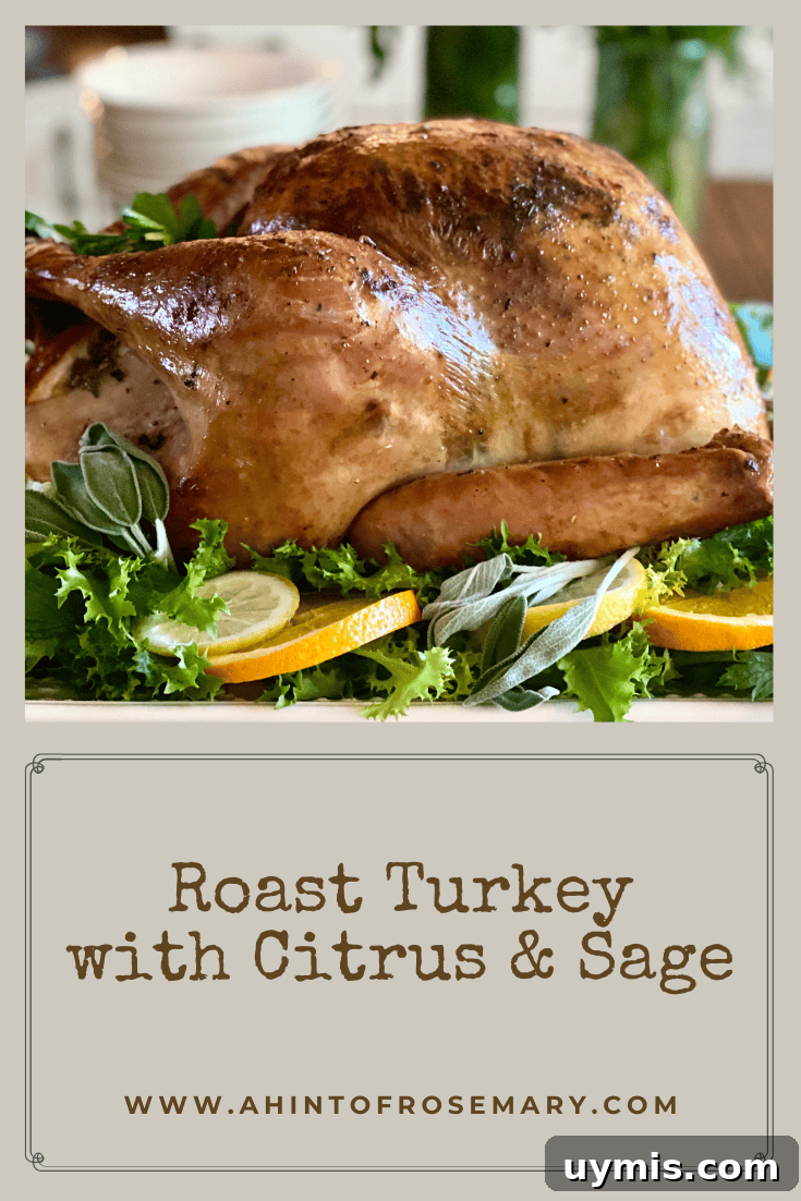 Citrus Sage Roast Turkey Recipe 21 Roast Turkey with Citrus & Sage