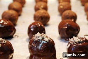 truffles dipped in chocolate.
