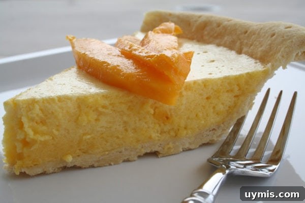 Mango Chiffon Pie Recipe with Fluffy Tropical Filling 2 img 3761 1