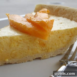 Mango Chiffon Pie Recipe with Fluffy Tropical Filling 3 img 3761 2