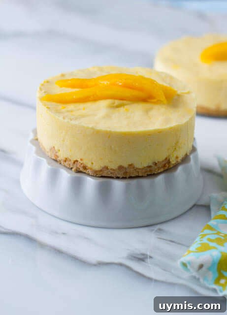Mango Chiffon Pie Recipe with Fluffy Tropical Filling 5 I'm obsesed with mango and this dessert was seriously incredible! Especially that macadamia nut crust! Plus, it's actually really easy! ohsweetbasil.com_