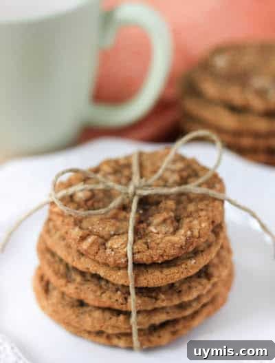 Chewy Brown Butter Oatmeal Ginger Cookies 3 Brown Butter Oatmeal Ginger Cookies in a tower of five on a white plate