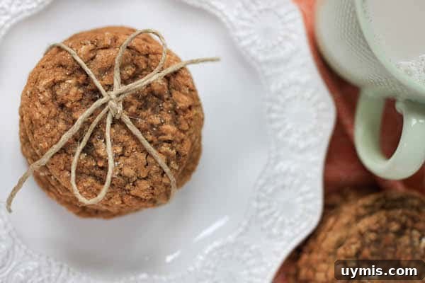Chewy Brown Butter Oatmeal Ginger Cookies 4 Overhead shot on the Brown Butter Oatmeal Ginger Cookies on a white plate