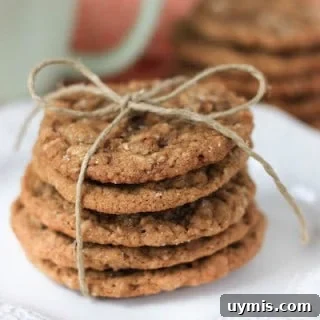 Brown Butter Oatmeal Ginger Cookies stacked in a cute little present