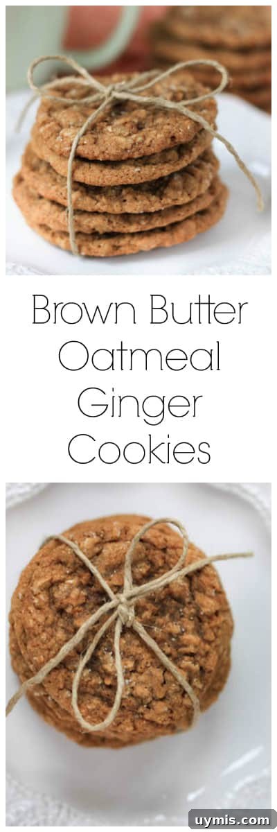 Chewy Brown Butter Oatmeal Ginger Cookies 6 Brown Butter Oatmeal Ginger Cookies super long collage with text overlay