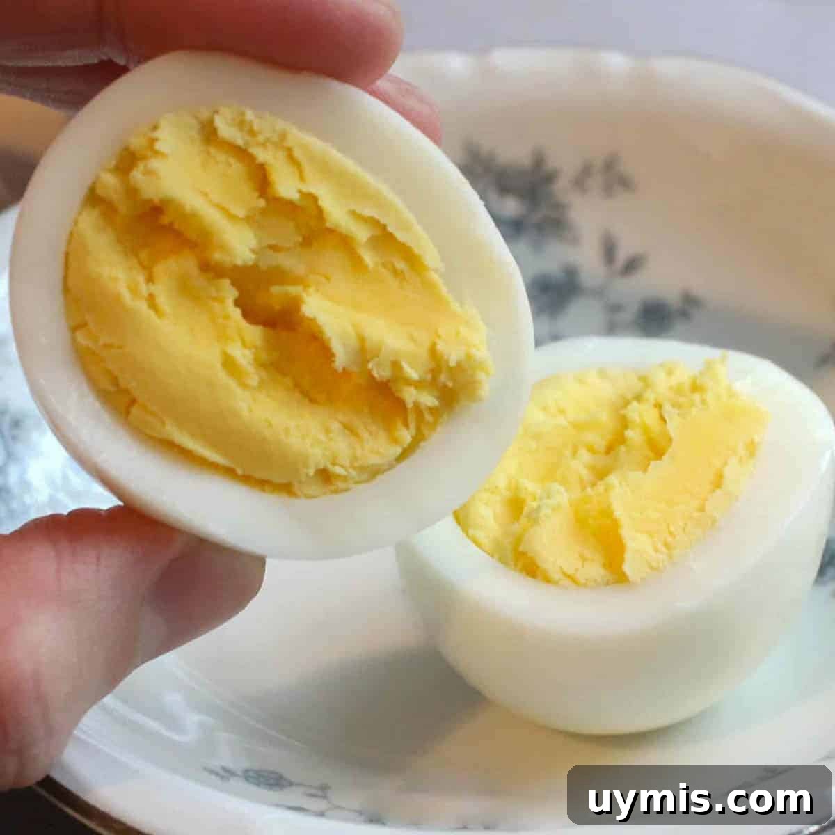 Instant Pot Hard Boiled Eggs Using the 5 5 5 Method 2 Egg close up in hand