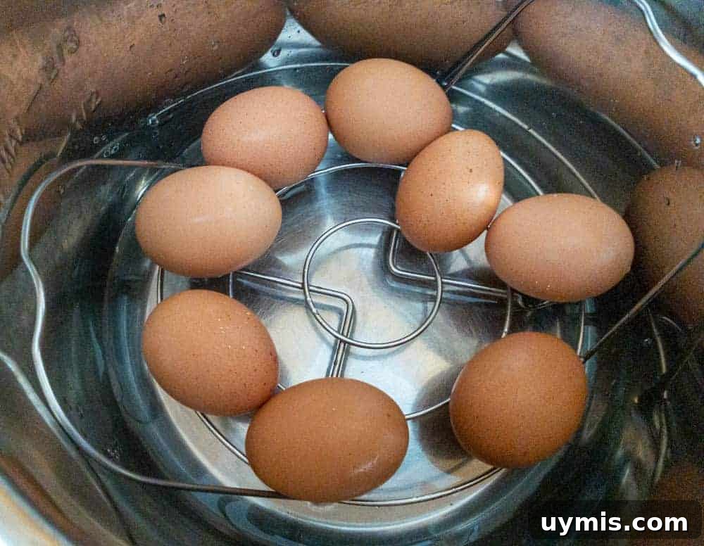 Instant Pot Hard Boiled Eggs Using the 5 5 5 Method 3 Eggs in Instant Pot on trivet to be hard boiled.