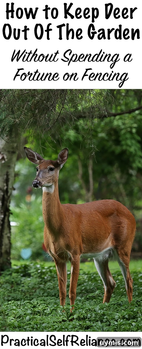 Keep Deer Out of Your Garden Without Spending a Fortune 3 How to Keep Deer Out of the Garden #vegetablegardening #gardening #gardentips #deer #deerproof #homesteading #selfreliant