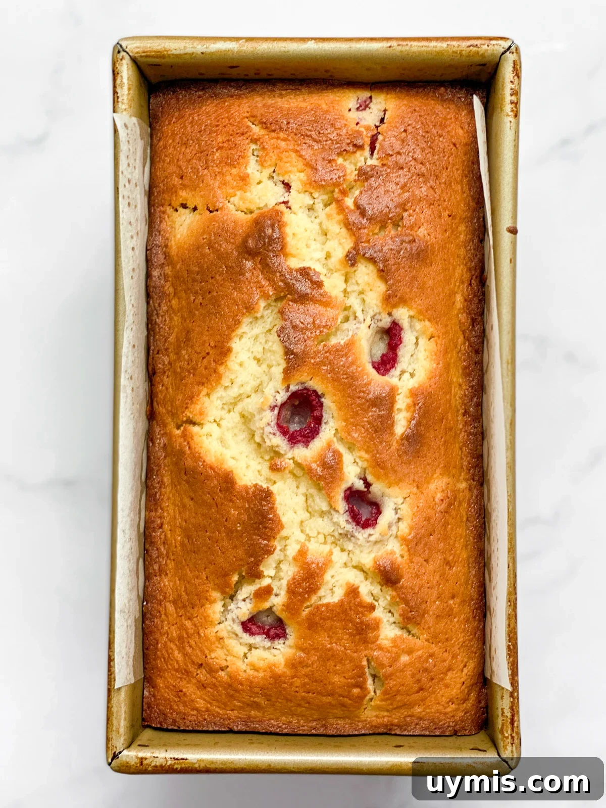 White Chocolate Raspberry Loaf Cake 12 loaf cake after baking.