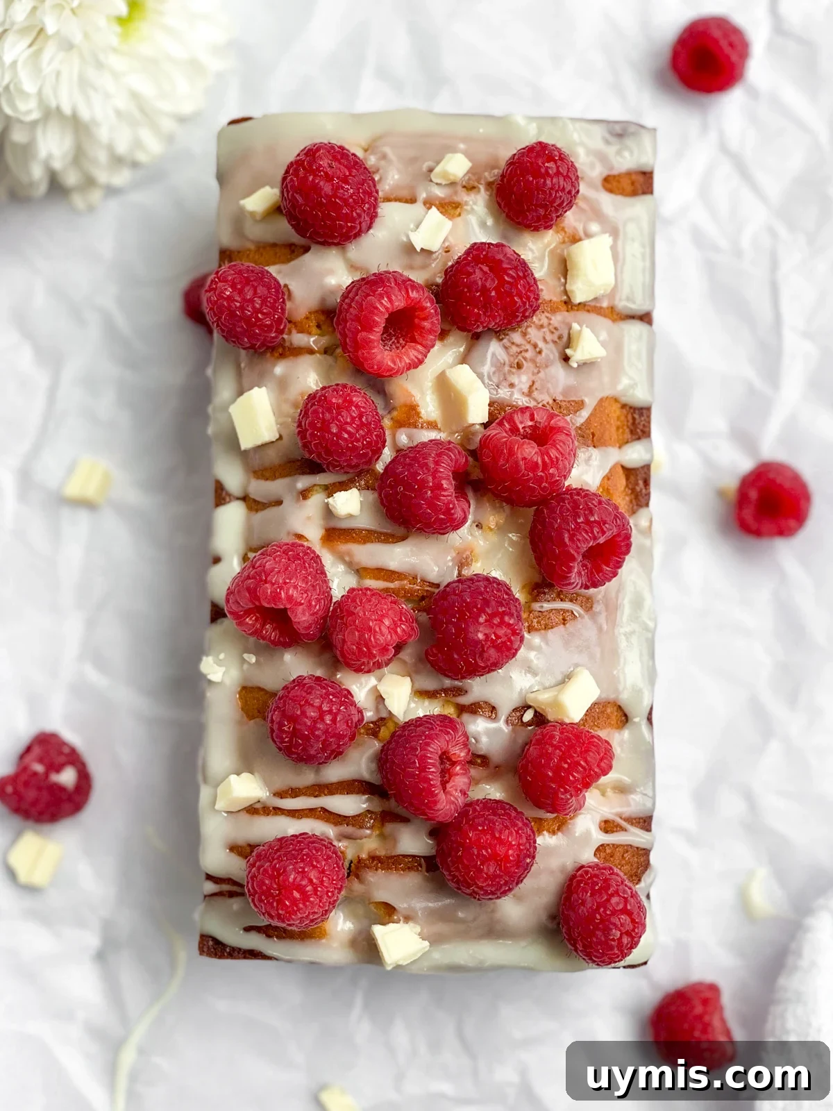 White Chocolate Raspberry Loaf Cake 14 loaf cake topped with extra berries and white chocolate for serving.