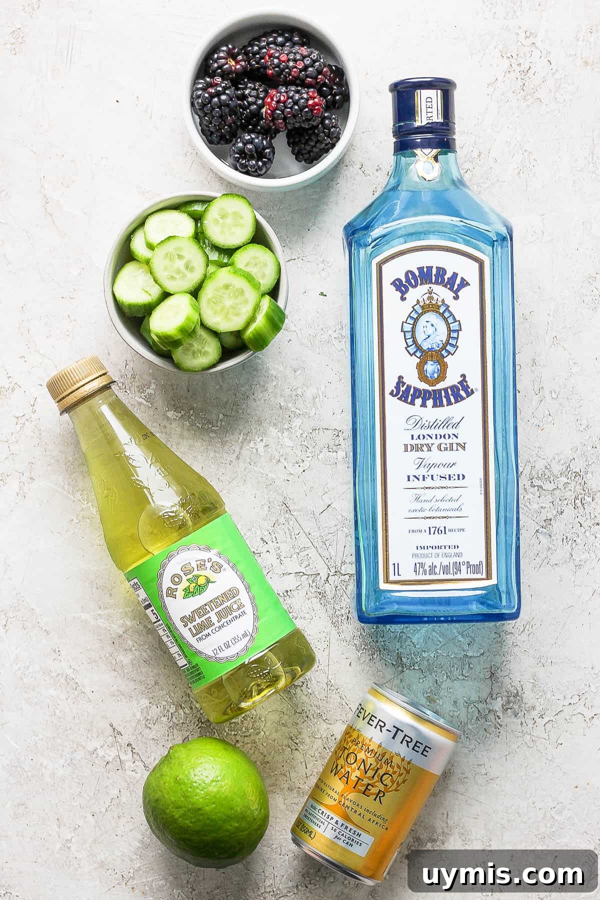 Ingredients for a blackberry cucumber gin and tonic.