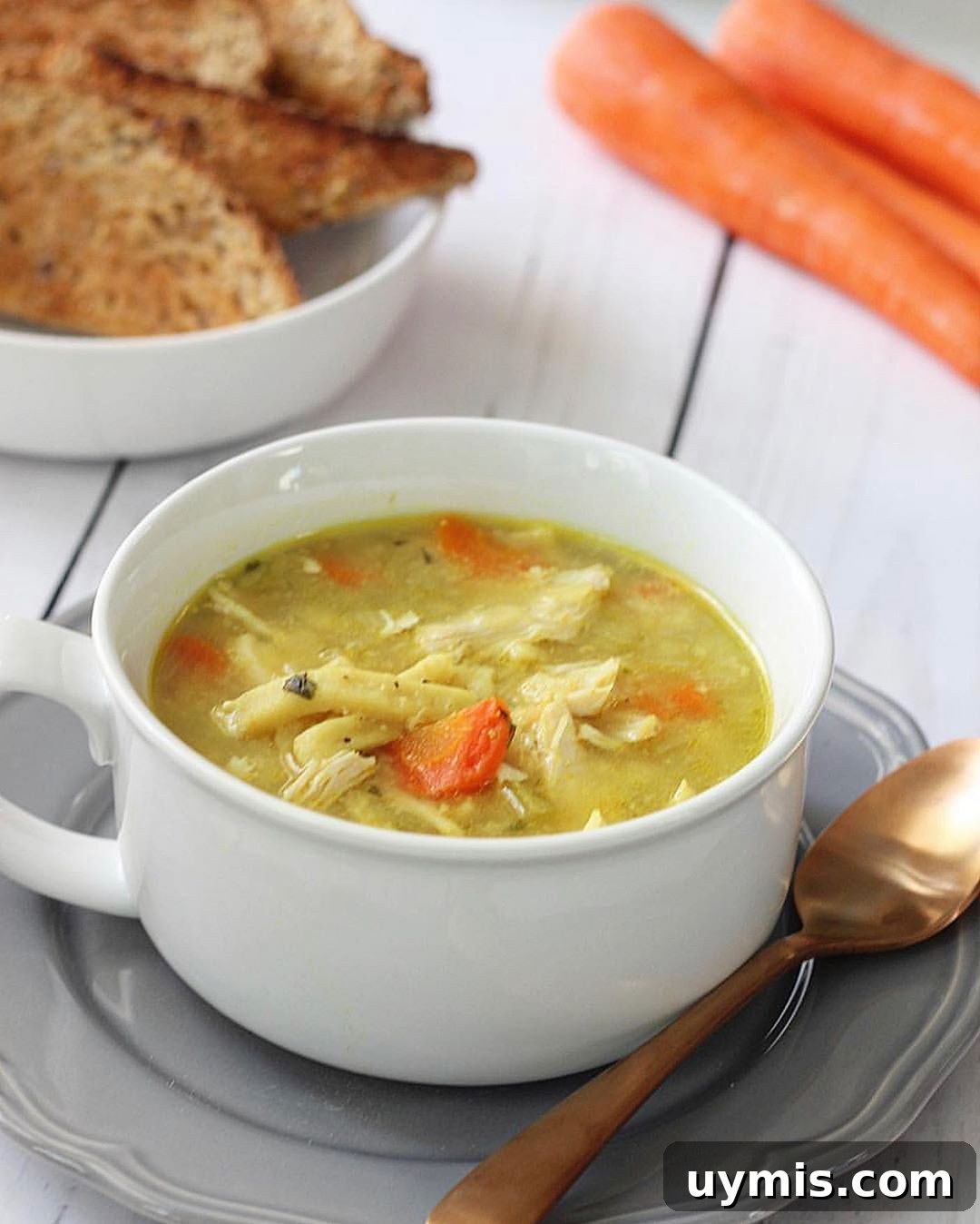 Instant Pot Chicken Noodle Soup Recipe 2 Instant Pot chicken noodle soup in a bowl