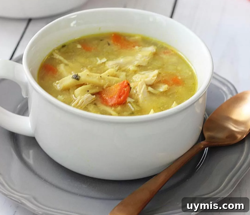 Instant Pot Chicken Noodle Soup recipe