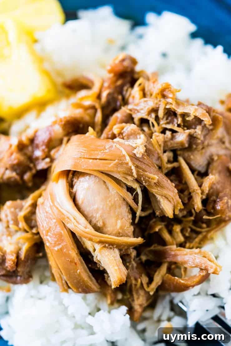 Hawaiian shoyu chicken over white rice