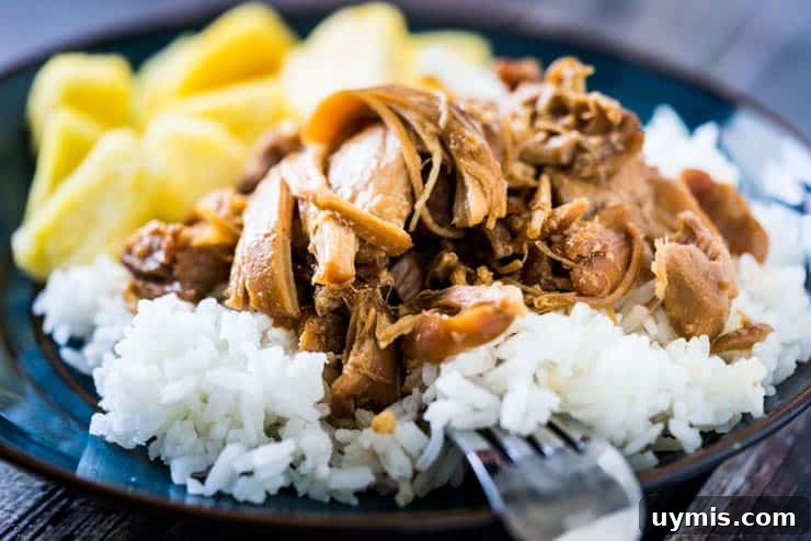 shoyu chicken on white rice and pineapple