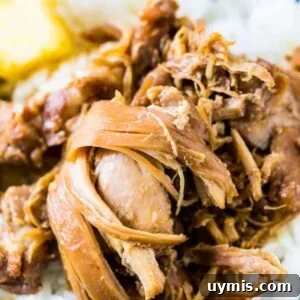 Hawaiian Shoyu Chicken-- so flavorful you'll forget how easy it is to make! Filled with flavors of ginger, garlic and just a touch of red pepper.
