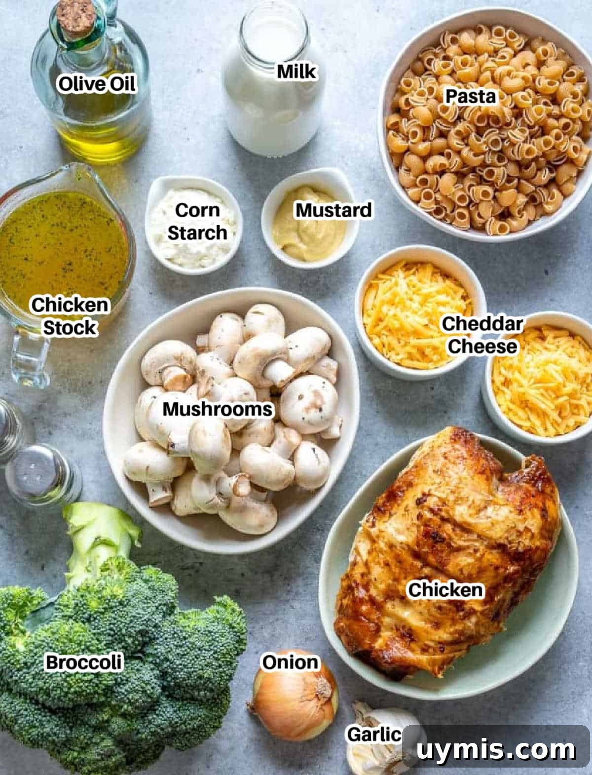 Creamy Broccoli Chicken Pasta Casserole 4 ingredients to make chicken pasta and broccoli casserole.