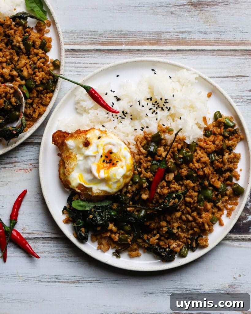 Authentic Thai Basil Chicken Stir-Fry Recipe (Gai Pad Krapow) 2 Plate with Thai basil chicken, rice, fried egg, and red chili garnish.