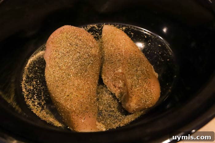 adding chicken and seasoning in slow cooker