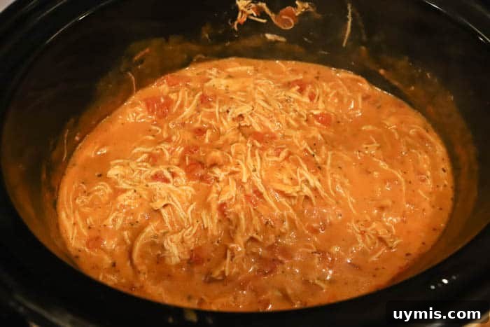 cooked chicken in slow cooker shredded