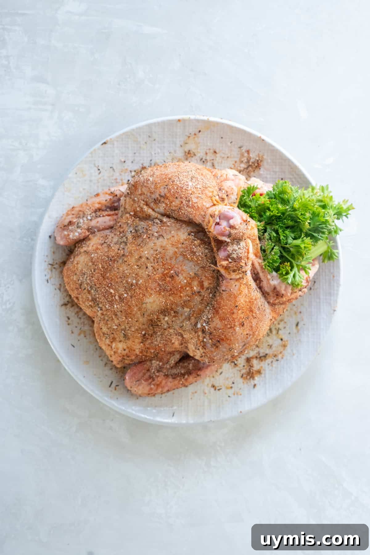 Juicy Dutch Oven Whole Chicken Recipe 4 A raw whole chicken with spices rubbed on it sitting on a plate. Fresh parsley is stuffed in the cavity with onion, celery, carrot, lemon and garlic.