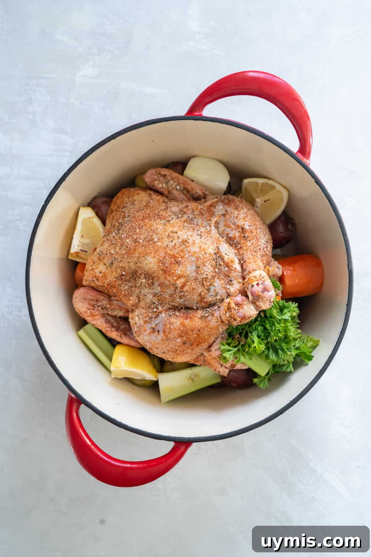 Juicy Dutch Oven Whole Chicken Recipe 5 The prepared whole chicken with spices in the Dutch oven with any remaining celery, carrots and lemon.