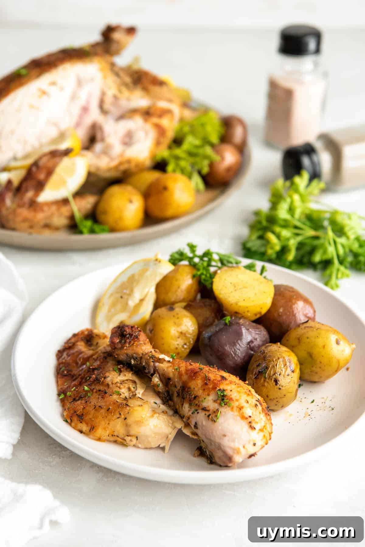 Juicy Dutch Oven Whole Chicken Recipe 7 Cut up pieces of whole roasted chicken sitting on a plate with the roasted potatoes on a white table for serving.