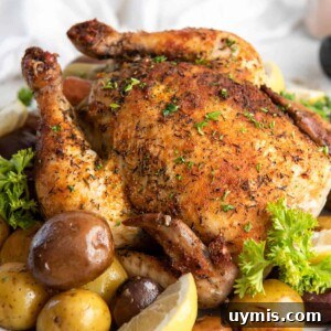 Juicy Dutch Oven Whole Chicken Recipe 8 Dutch oven whole chicken on a white plate with roasted potatoes. The plate is ready for serving.