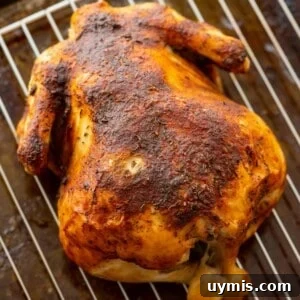 Rotisserie chicken on a baking rack.