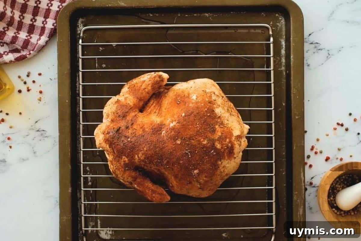 Seasoned whole chicken breast-side down on a baking rack over water.