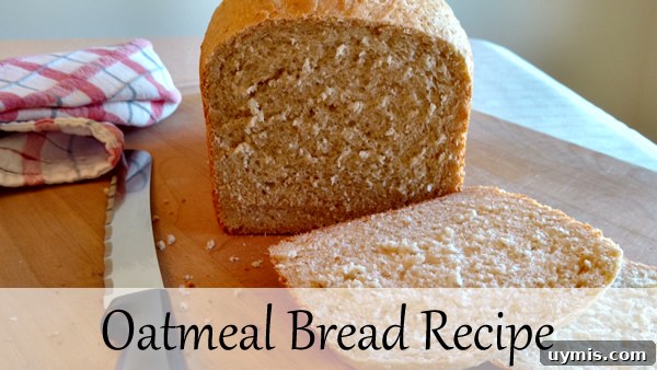 Bread Machine Oatmeal Loaf Recipe 2 Oatmeal Bread Recipe