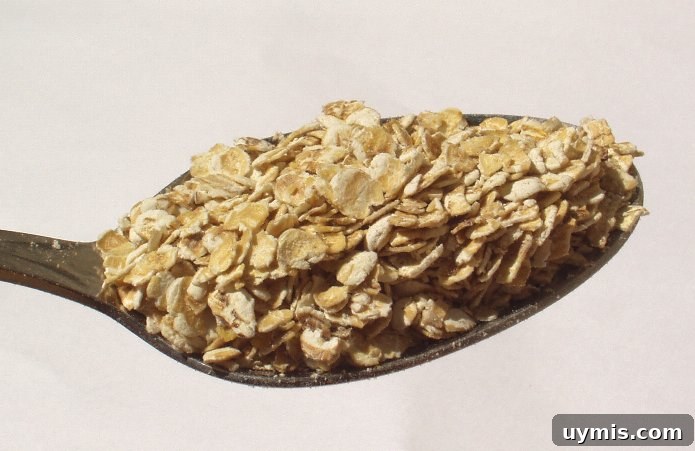 Bread Machine Oatmeal Loaf Recipe 3 rolled or old-fashioned oats