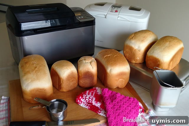 Bread Machine Oatmeal Loaf Recipe 5 Many loaves of Bread