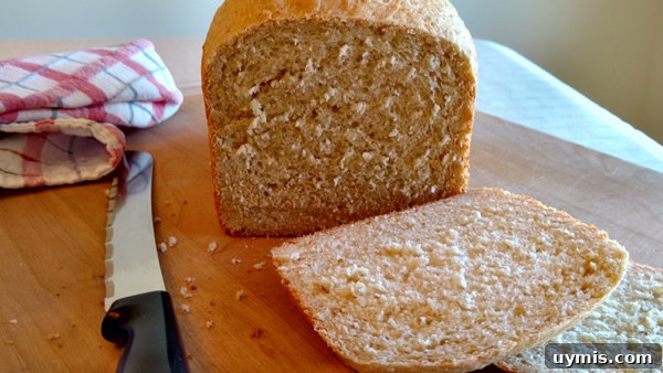 Bread Machine Oatmeal Loaf Recipe 6 Bread Machine Oatmeal Bread