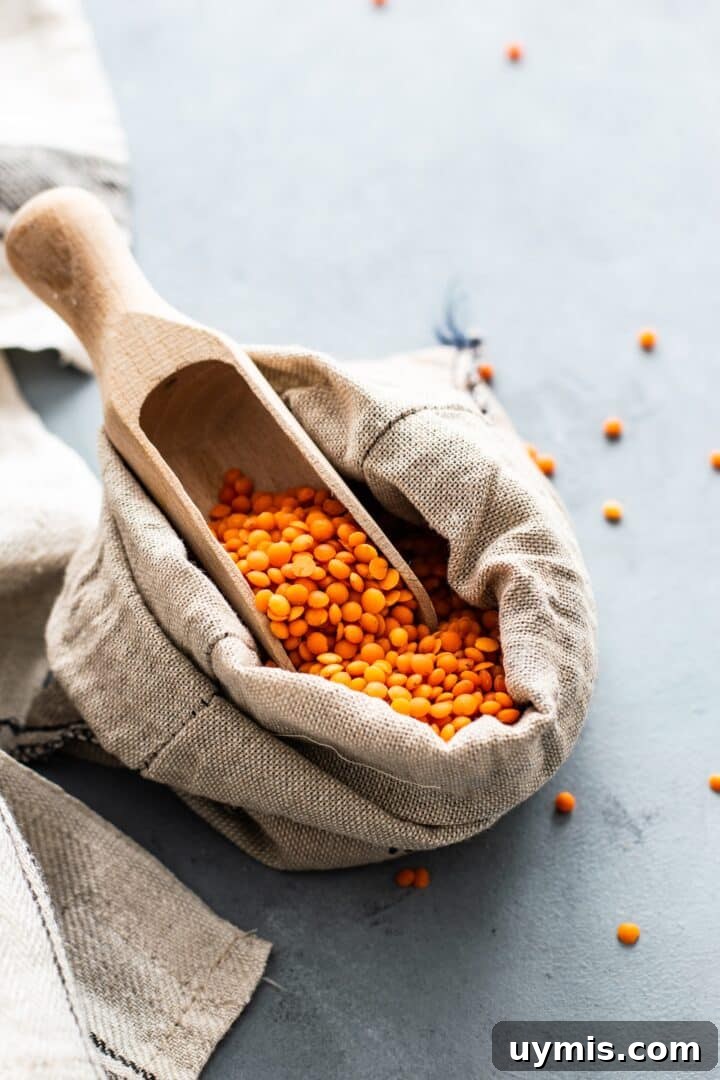 Printable List: 60 High-Protein Foods (Free Download) 2 Lentils in an open fabric bag with a scoop sticking out of it.