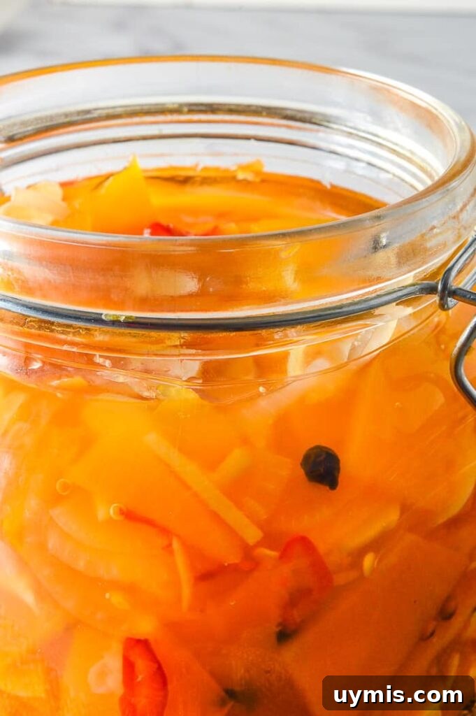 Spicy Refrigerator Pumpkin Pickles Recipe 4 close up of jarred pumpkin pickles with pale grey background