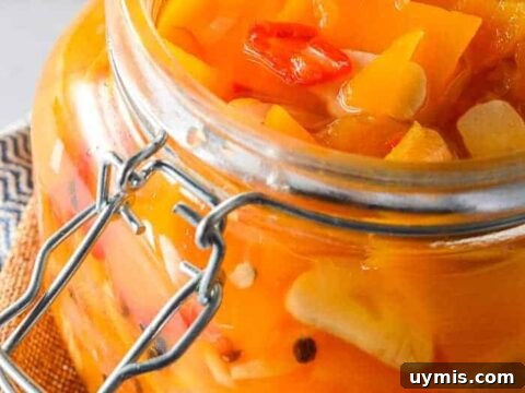 View into a glass jar with clear liquid, orange vegetable slices, garlic and red chilis