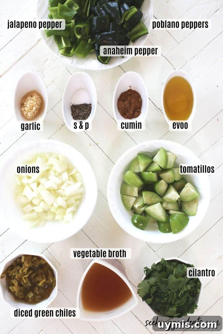 Ingredients needed to make tomatillo enchilada sauce.