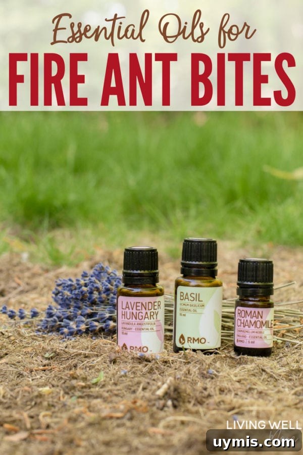 Fire Ant Bite Relief: Natural Remedies That Work 10 essential oils for fire ant bites