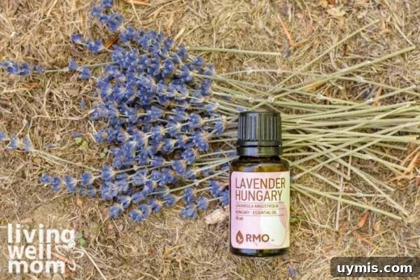 Fire Ant Bite Relief: Natural Remedies That Work 7 lavender essential oil for treating fire ant bites